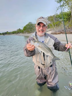 Striped Bass Fishing in Stone Harbor, New Jersey