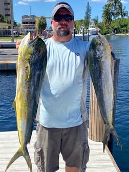 Mahi Mahi Fishing in Pompano Beach, Florida