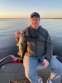 Largemouth Bass Fishing in Lake Okeechobee, Florida