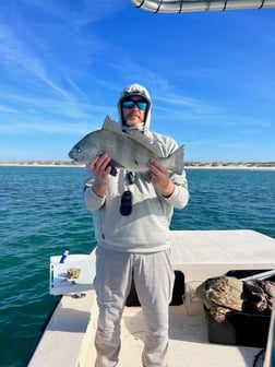 Redfish Fishing in Beaufort, North Carolina