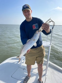 Speckled Trout / Spotted Seatrout Fishing in South Padre Island, Texas