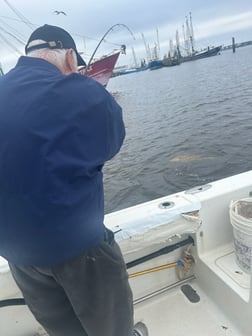 Fishing in Biloxi, Mississippi