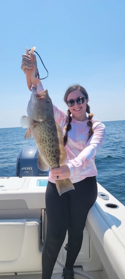 Gag Grouper fishing in Panama City, Florida