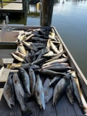 Fishing in New Orleans, Louisiana