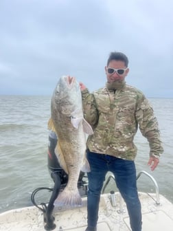 Black Drum Fishing in Galveston, Texas