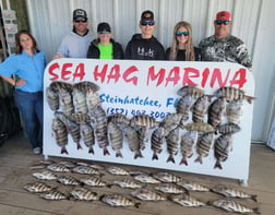 Sheepshead Fishing in Steinhatchee, Florida