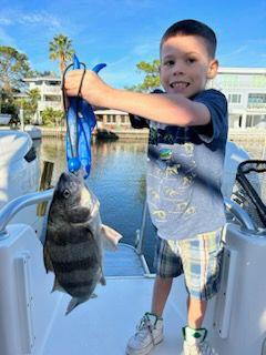 Sheepshead Fishing in Clearwater, Florida