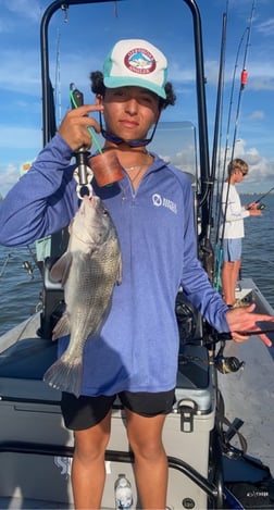 Black Drum fishing in Matagorda, Texas