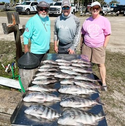 Lane Snapper, Scup Fishing in Cape Coral, Florida