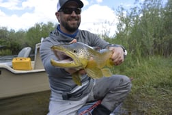 Brown Trout fishing in Sheridan, Montana