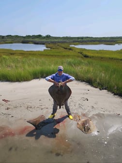 Ray, Stingray Fishing in Ocean Pines, Maryland