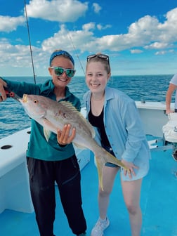 Yellowtail Snapper Fishing in Key West, Florida