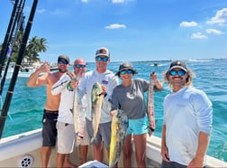 Sailfish Fishing in Pompano Beach, Florida