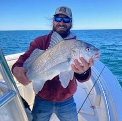 Black Seabass Fishing in Charleston, South Carolina