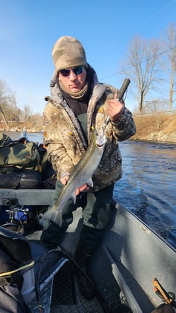 Steelhead Fishing in Verona Beach, New York