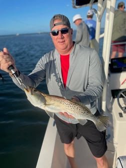 Snook Fishing in Sarasota, Florida