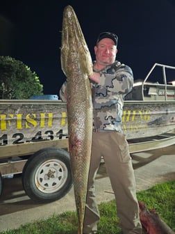 Alligator Gar Fishing in Livingston, Texas