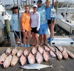 Red Grouper, Red Snapper Fishing in Clearwater, Florida