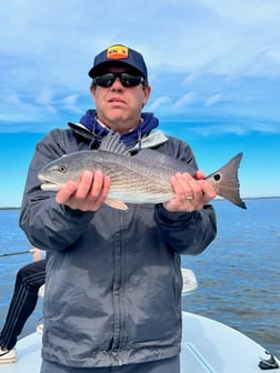 Redfish Fishing in Tallahassee, Florida