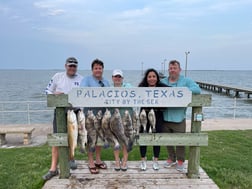 Black Drum, Flounder, Redfish, Speckled Trout Fishing in Palacios, Texas