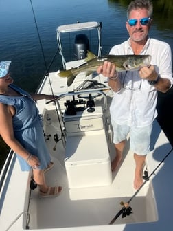 Snook Fishing in Islamorada, Florida