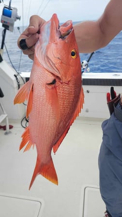 Fishing in Galveston, Texas