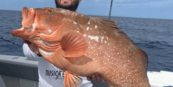 Fishing in Tierra Verde, Florida