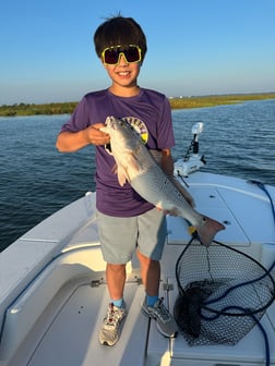 Fishing in New Orleans, Louisiana