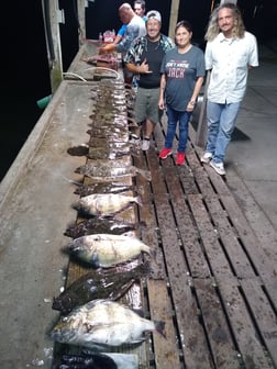 Flounder, Sheepshead Fishing in Aransas Pass, Texas