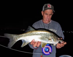 Snook Fishing in Jupiter, Florida