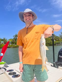 Snook fishing in Fort Myers, Florida