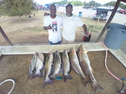 Blue Catfish, Redfish fishing in San Antonio, Texas