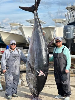 Fishing in Beaufort, North Carolina