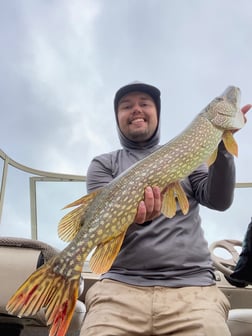 Northern Pike fishing in Hubbard, Iowa