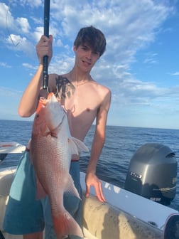 Red Snapper Fishing in Pensacola, Florida