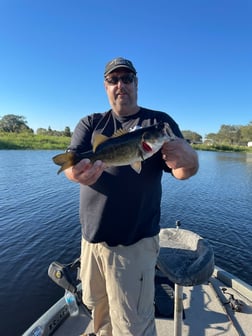 Largemouth Bass Fishing in Lake Okeechobee, Florida