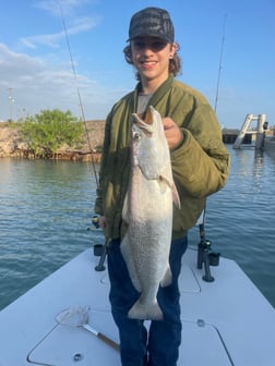 Speckled Trout Fishing in South Padre Island, Texas