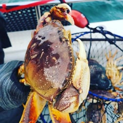 Crab Fishing in Bodega Bay, California