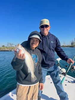 Speckled Trout Fishing in Port Arthur, Texas