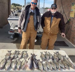 Blue Catfish, Striped Bass Fishing in Runaway Bay, Texas