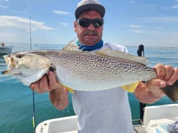 Speckled Trout Fishing in Trails End, North Carolina