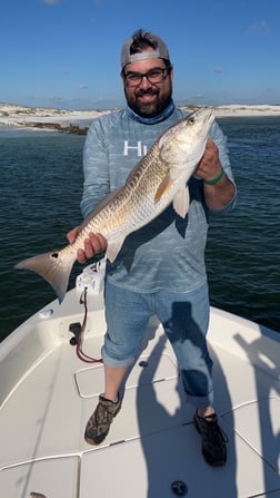 Redfish Fishing in Pensacola, Florida