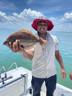 Bonnethead Shark Fishing in Surfside Beach, Texas