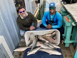 Striped Bass Fishing in Pottsboro, Texas