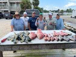 Fishing in Pensacola, Florida