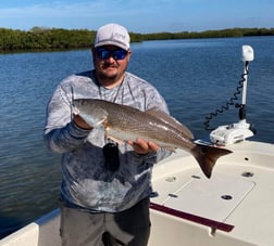 Snook Fishing in Crystal River, Florida