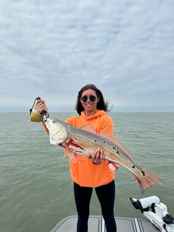 Speckled Trout Fishing in Corpus Christi, Texas