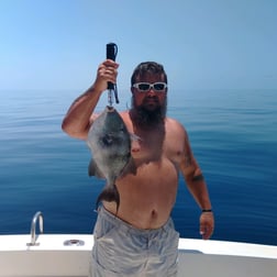 Lane Snapper, Scup, Triggerfish Fishing in Destin, Florida