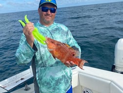 Hogfish fishing in Saint Petersburg, Florida