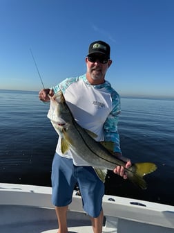 Fishing in Tampa, Florida